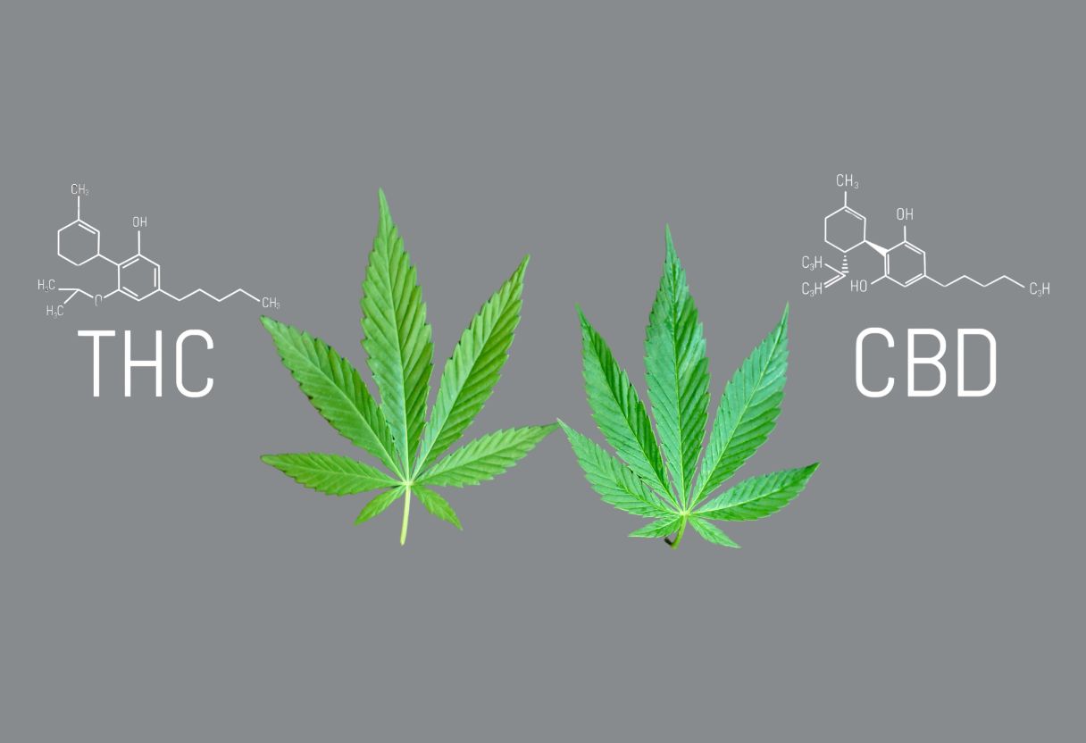 Unterschied zwischen CBD und THC einfach erklärt