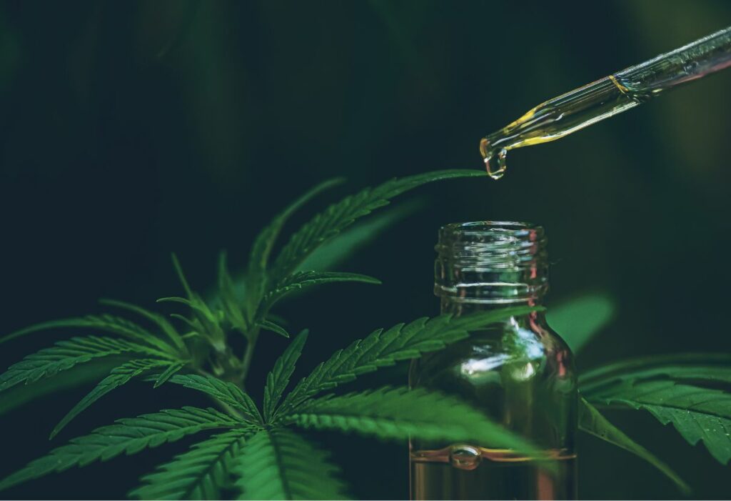 Was ist CBD? Ein Überblick über Wirkung und Anwendung